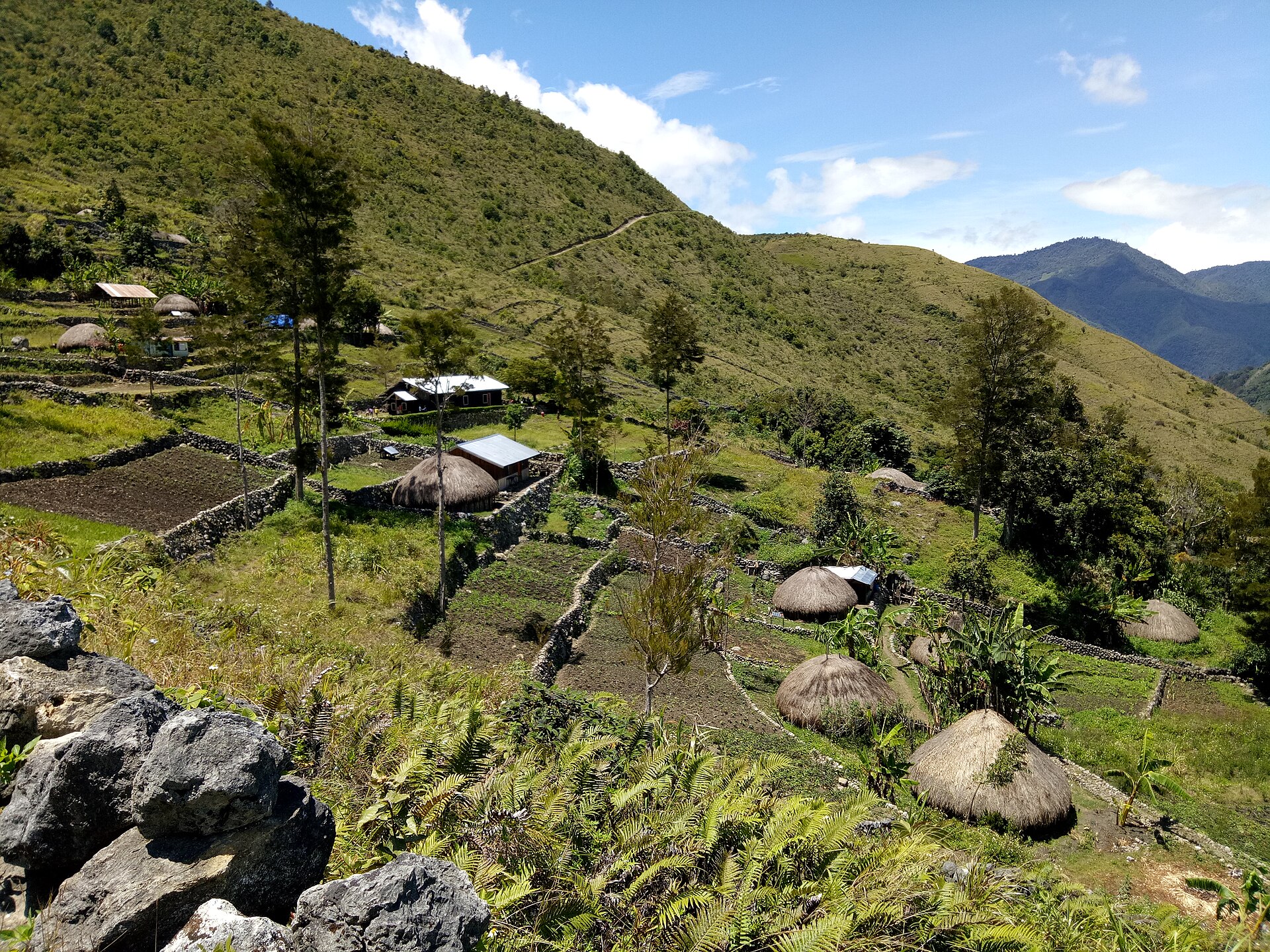 Baliem Valley: A Journey into Papua's Heart