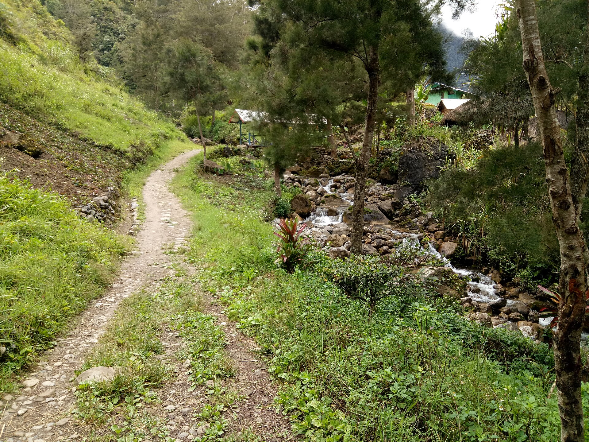 Baliem Valley, Papua