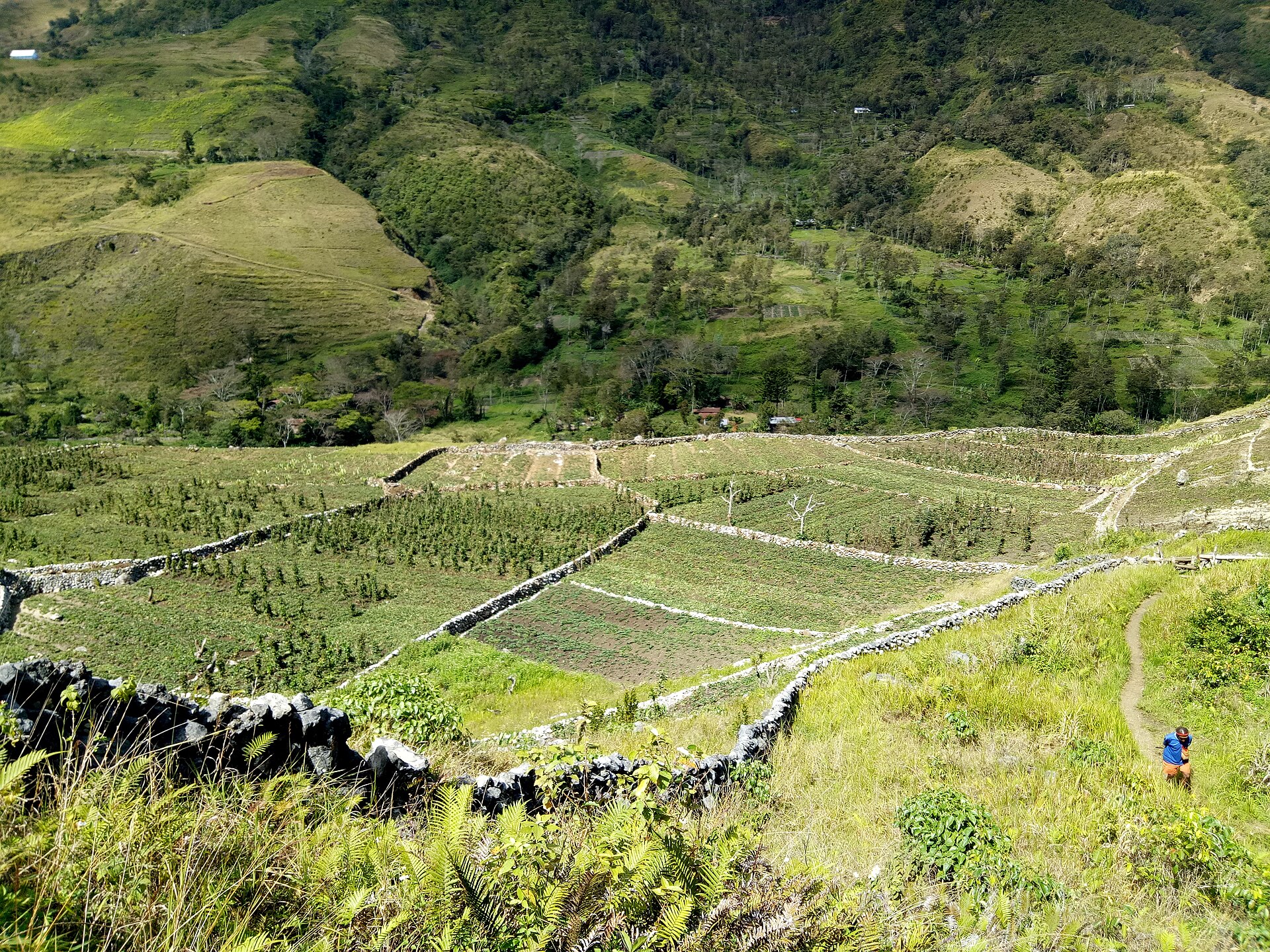 Baliem Valley, Papua