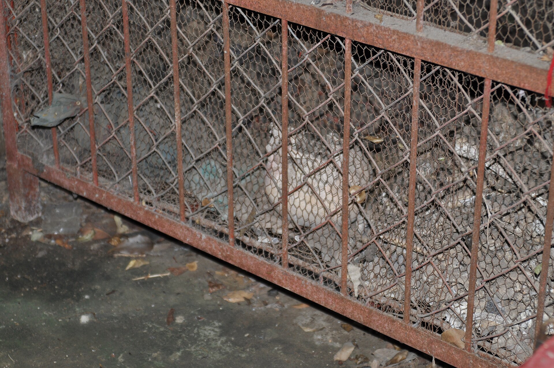 Phnom Sampeu serves as a poignant reminder of Cambodia's tumultuous past.