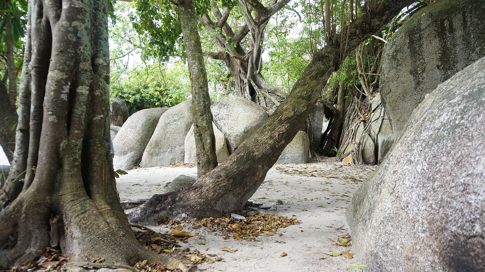 The stunning granite formations of Tanjung Tinggi Beach at sunset.