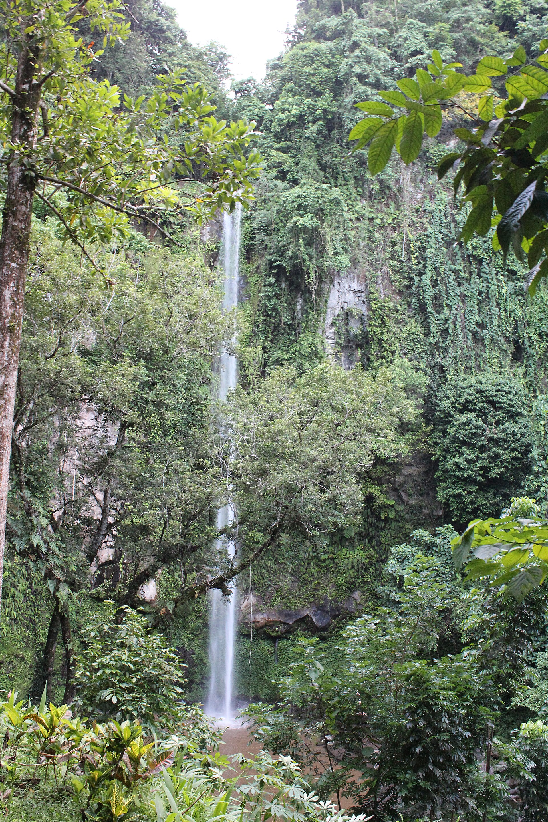 The refreshing waters of Katibawasan Falls, a must-visit for adventurers.