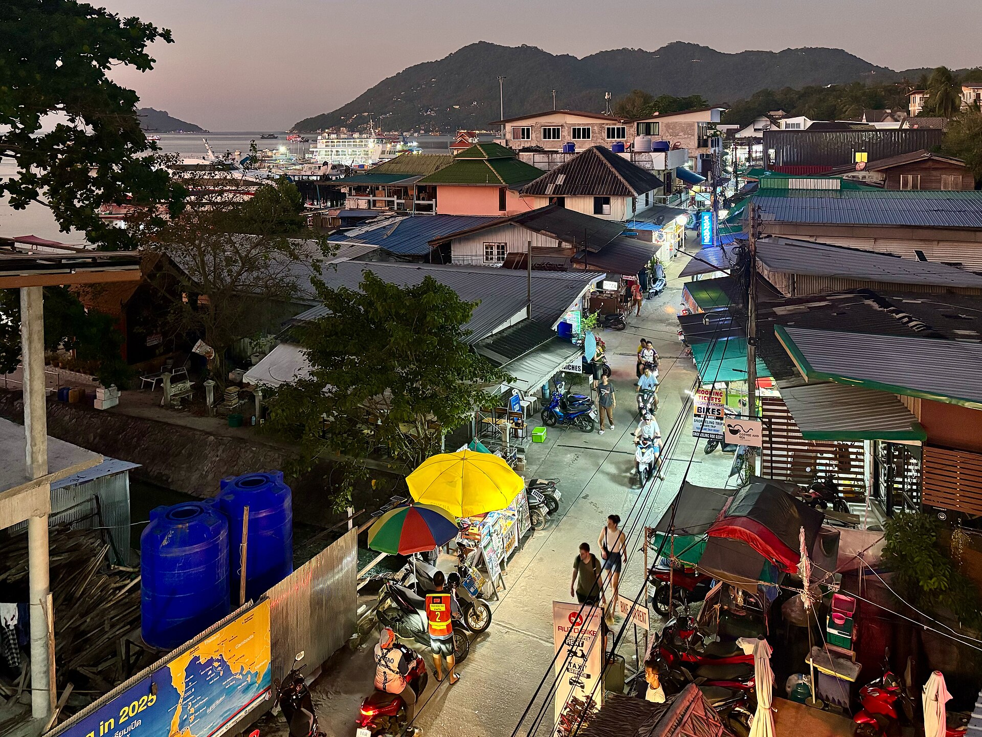 Diving into Paradise: The Allure of Ko Tao