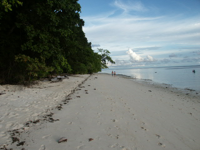Sipadan diving