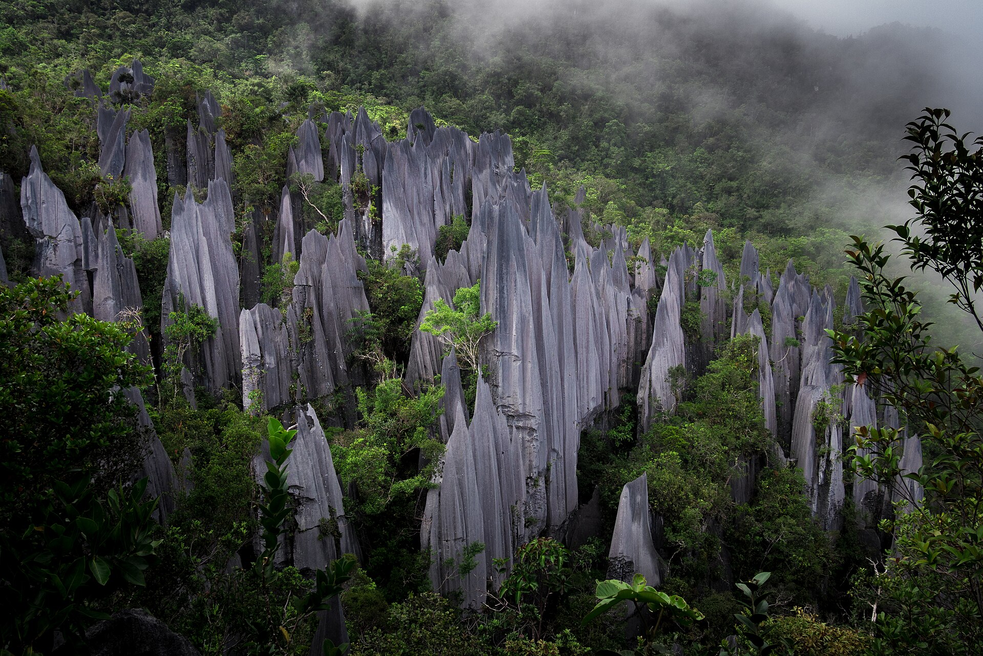 The breathtaking limestone pinnacles of Gunung Mulu, a highlight for trekkers.