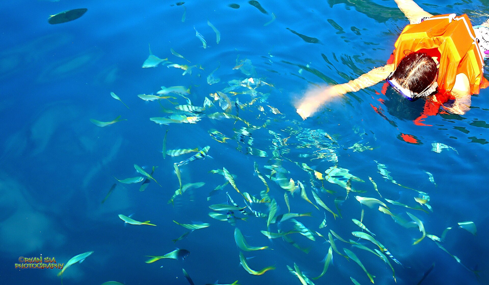 The Akitsushima wreck, a haunting reminder of World War II, now a vibrant marine habitat.