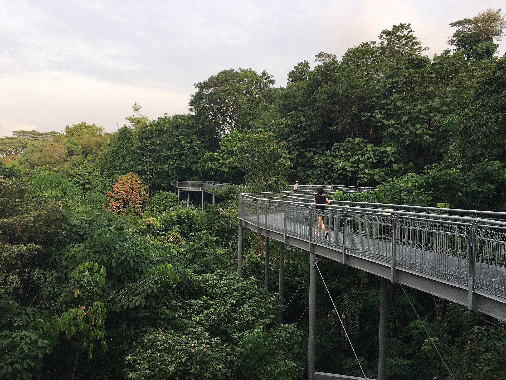 Exploring the Southern Ridges: Singapore's Green Oasis
