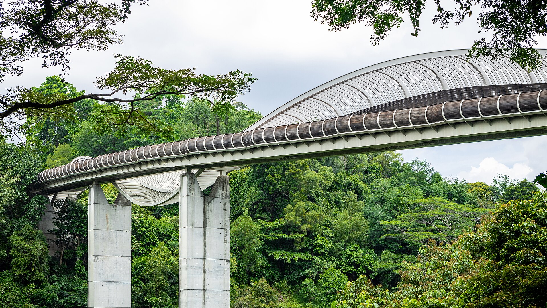 The iconic Henderson Waves bridge, the highest pedestrian bridge in Singapore.