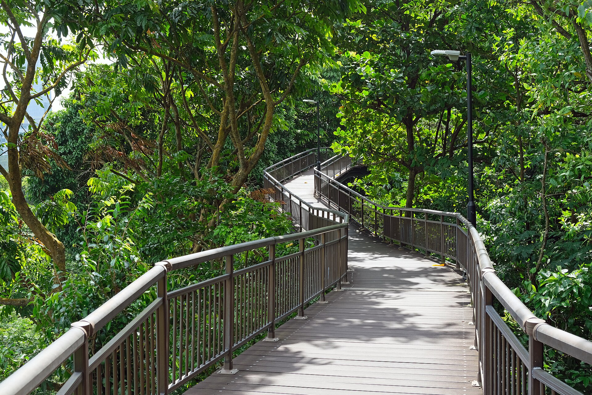 Kent Ridge Park, a haven for bird-watchers and eco-tourists.