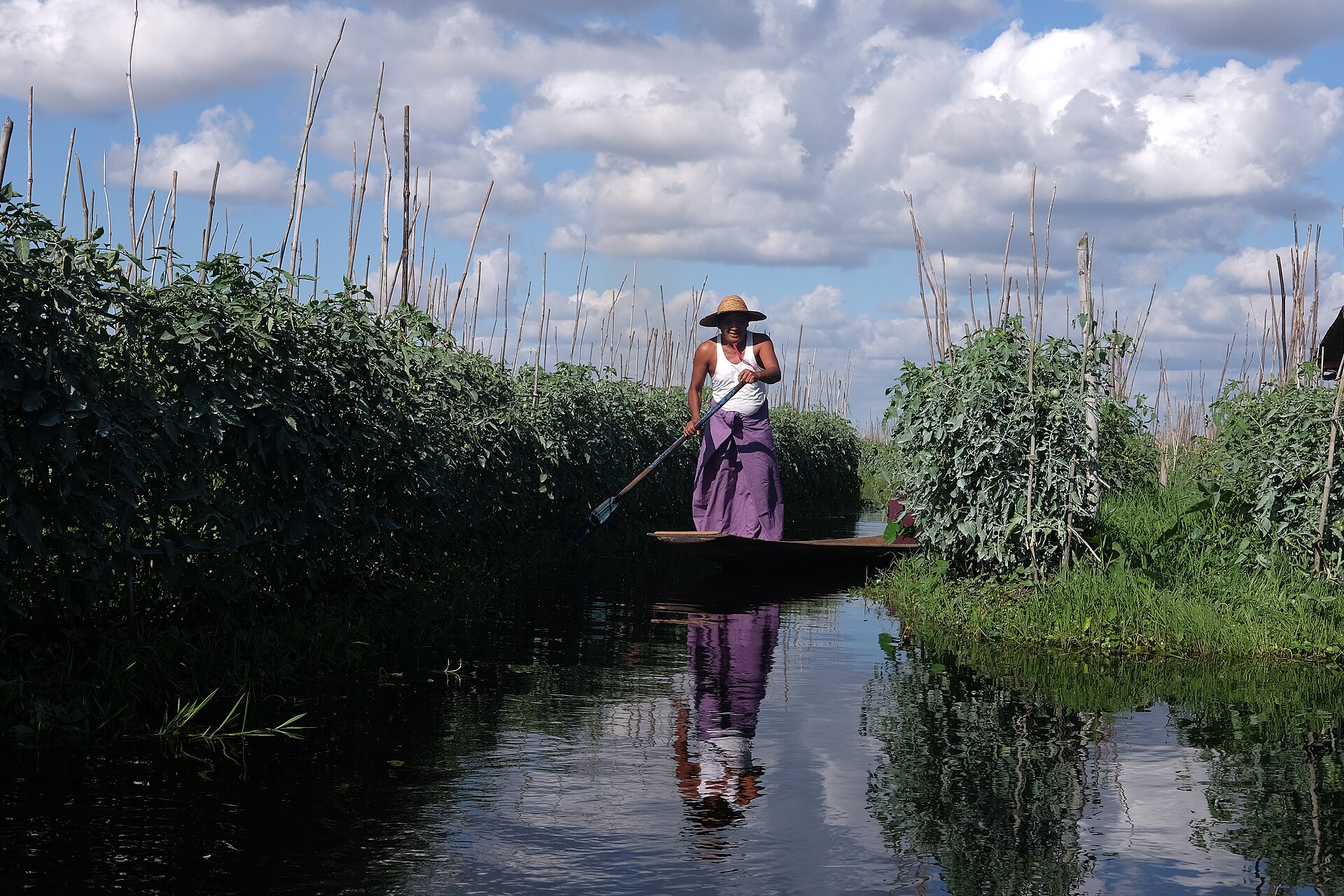 The innovative floating gardens of Inle Lake, a testament to the Intha people's sustainable farming practices.