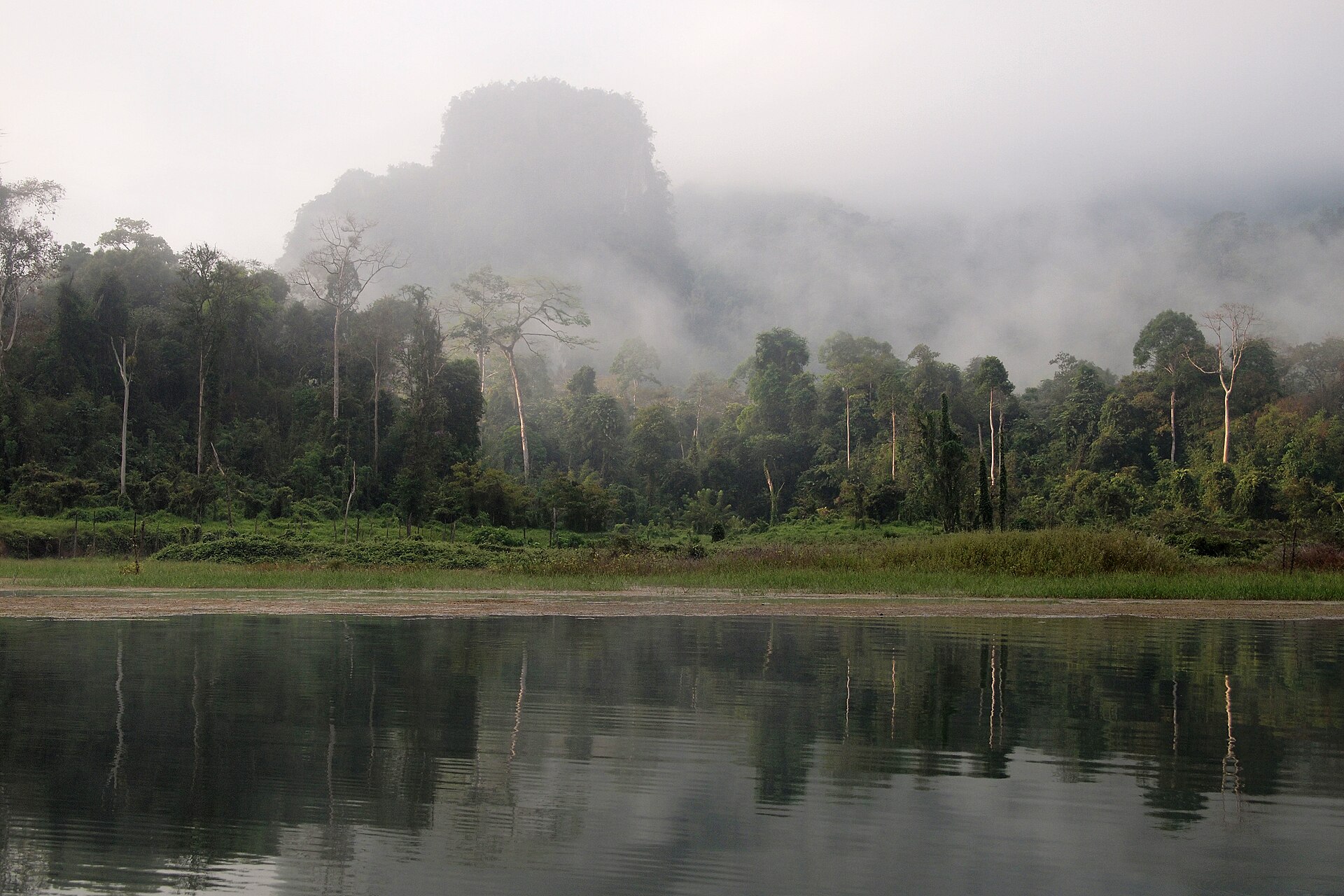 The breathtaking Khao Sok rainforest, a sanctuary of biodiversity.