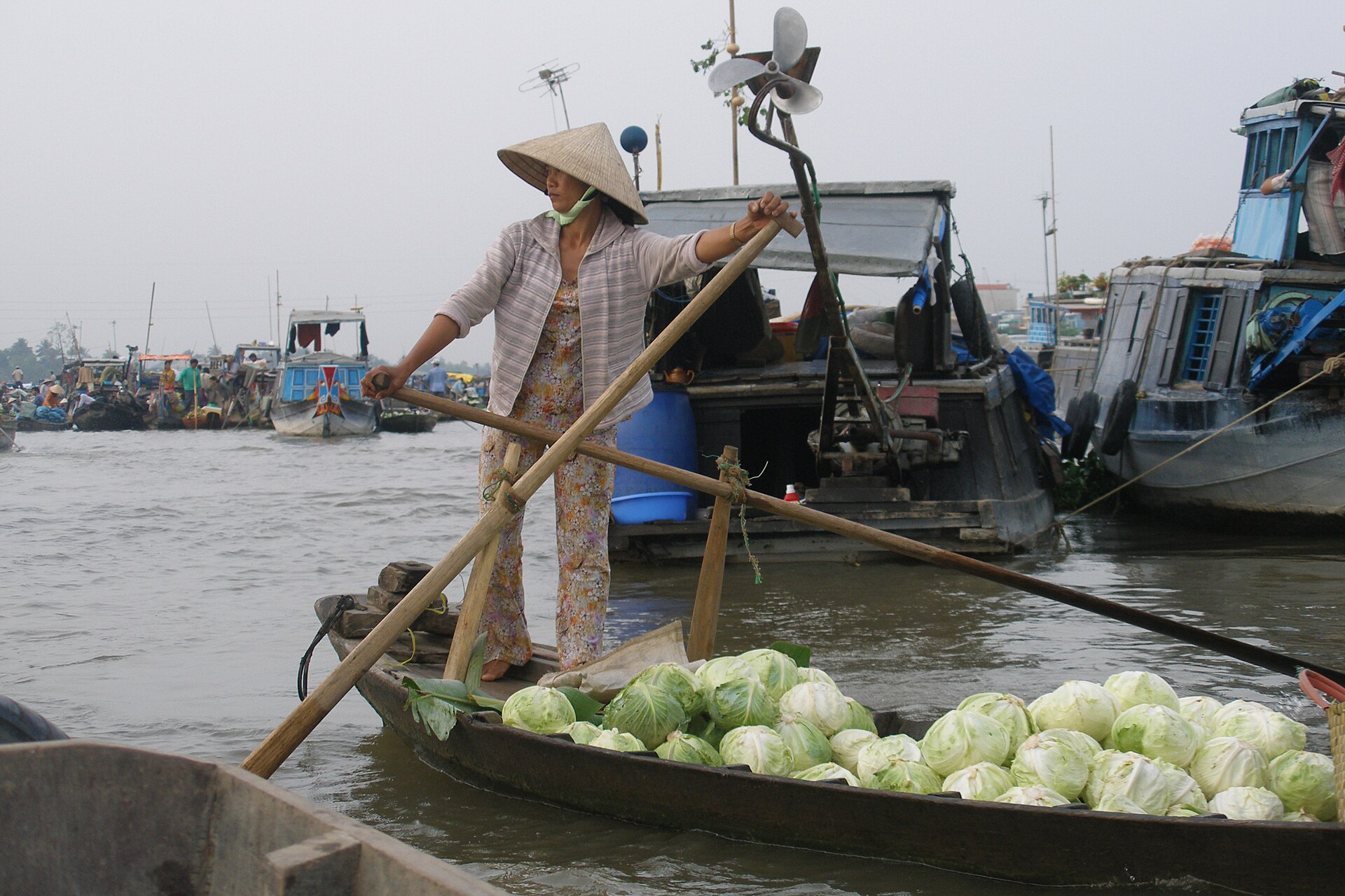 The bustling Cái Răng floating market at dawn, where local vendors showcase fresh produce.