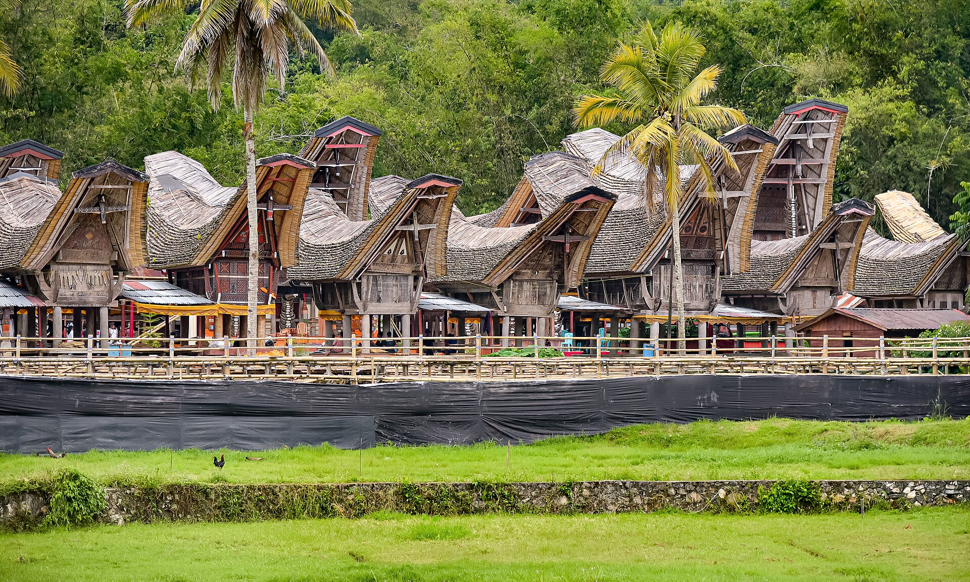Tana Toraja: A Journey Through the Land of Heavenly Kings
