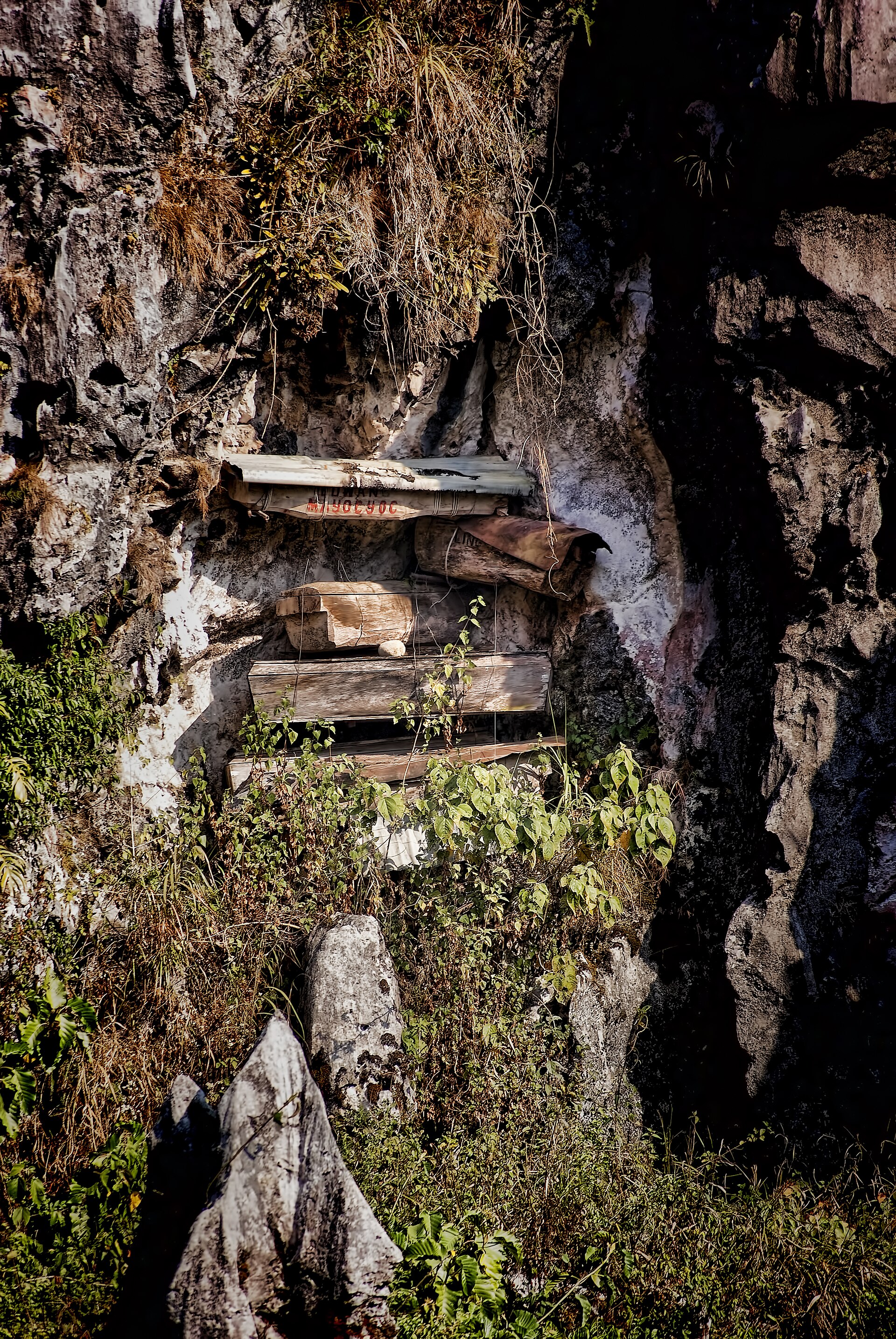 The iconic hanging coffins of Sagada, a testament to the ancient burial traditions of the Igorot people.