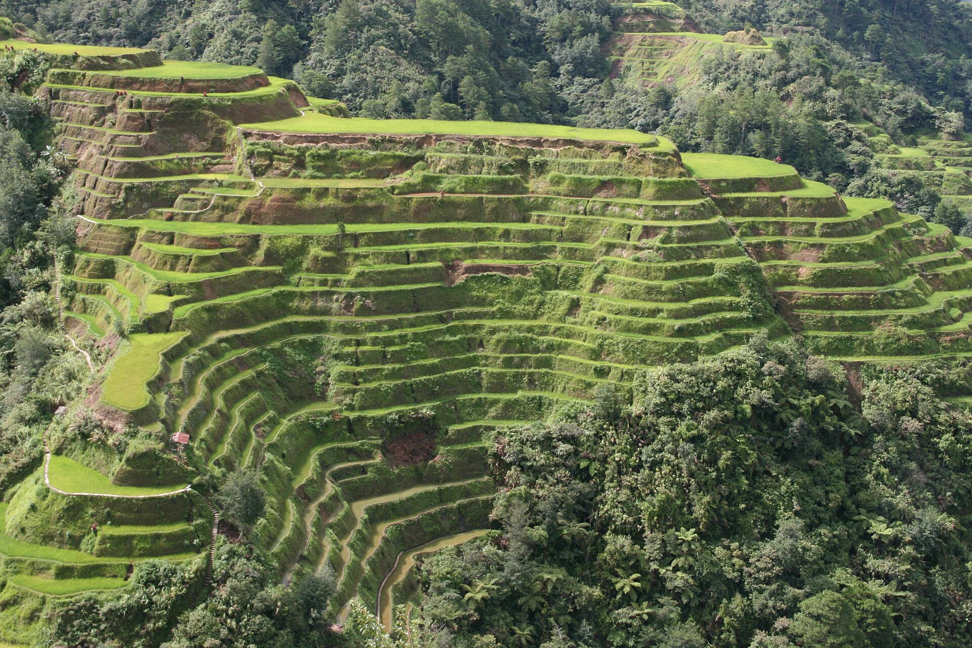 The Timeless Beauty of Banaue Rice Terraces