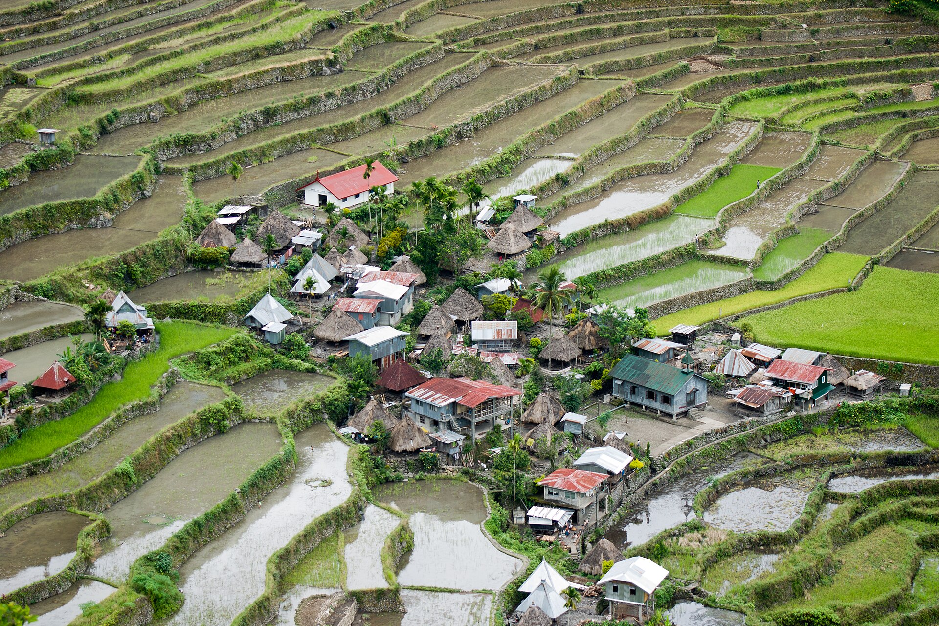 Banaue rice terraces