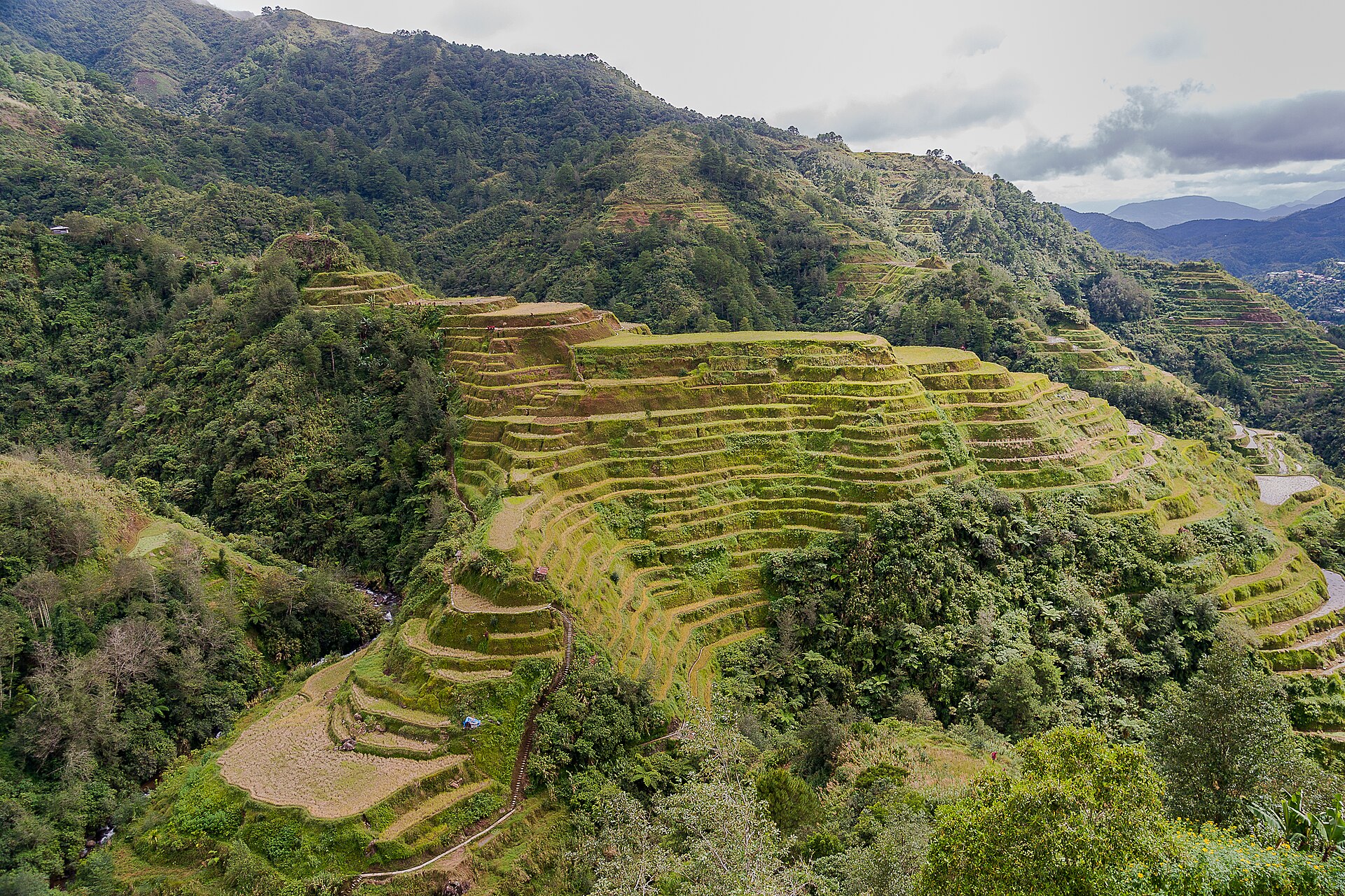 Banaue rice terraces