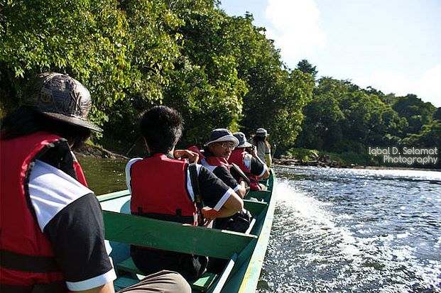 Ulu Temburong National Park: Brunei's Green Jewel