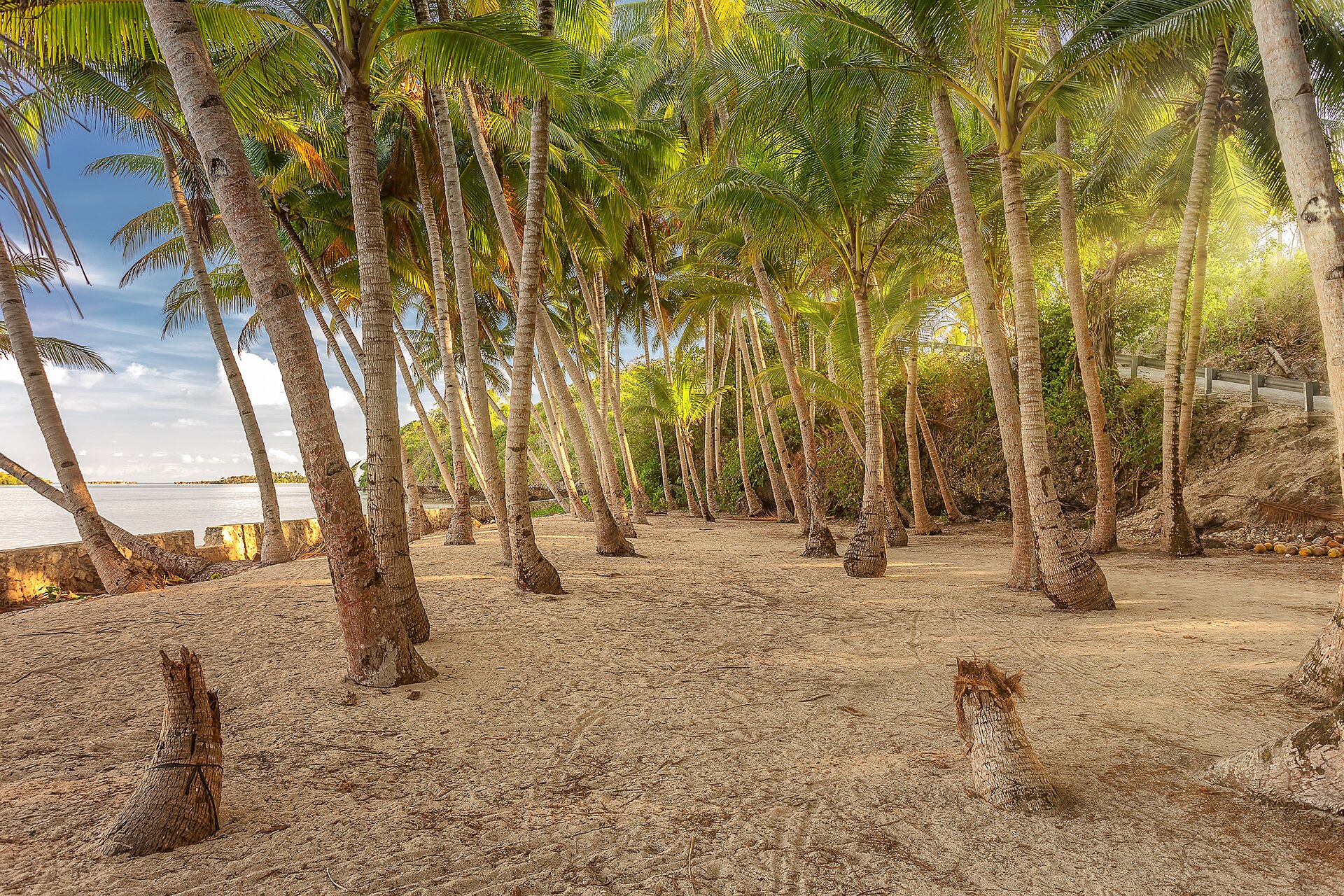 The pristine beaches of Wangi-wangi Island offer a perfect escape for sun-seekers.